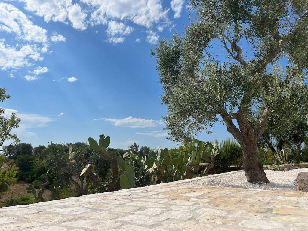 Casa Giuliveto - Charmantes Ferienhaus Mit Privatpool In Olivenhain Ostuni Esterno foto